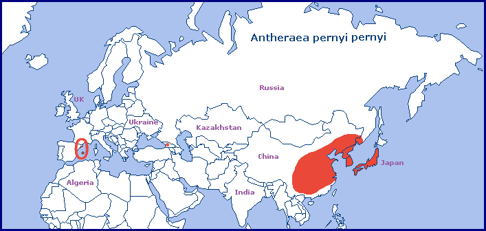 Global distribution of Antheraea pernyi pernyi. Map: &copy; Tony Pittaway.