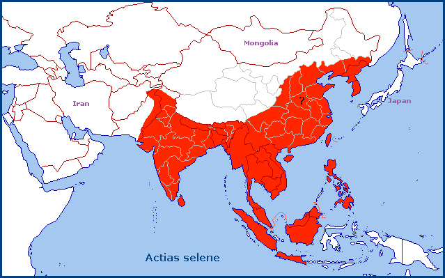 Global distribution of Actias selene. Map: &copy; Tony Pittaway.