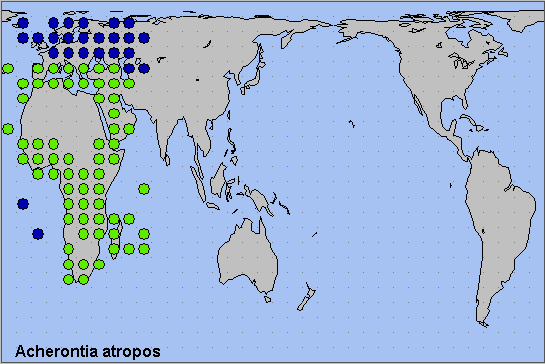Global distribution of Acherontia atropos. Map: &copy; NHMUK.
