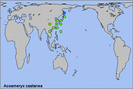 Global distribution of Acosmeryx castanea. Map: &copy; NHMUK.