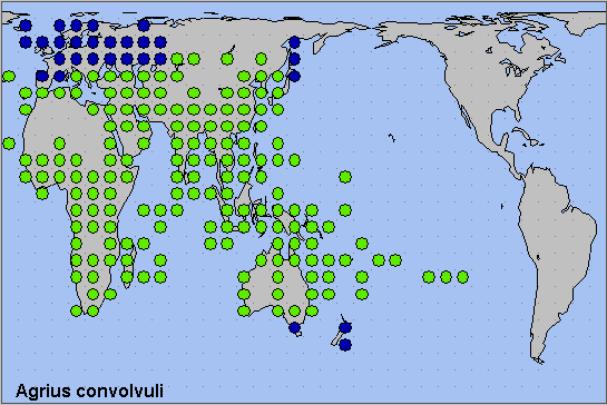 Global distribution of Agrius convolvuli. Map: &copy; NHMUK.