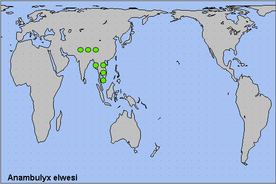 Global distribution of Anambulyx elwesi. Map: &copy; NHMUK.