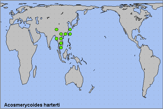 Global distribution of Acosmerycoides harterti. Map: &copy; NHMUK.