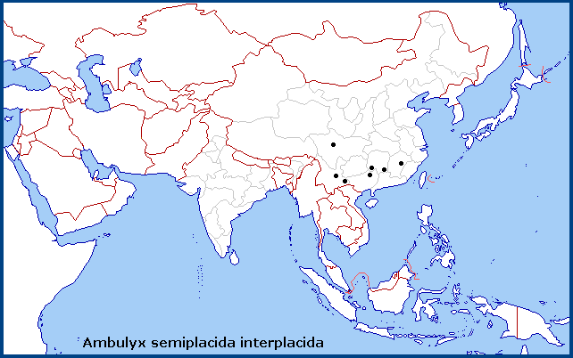 Regional distribution of Ambulyx semiplacida interplacida. Map: &copy; Tony Pittaway.