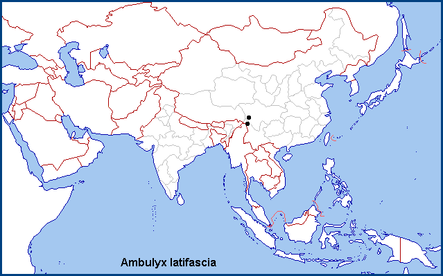 Global distribution of Ambulyx latifascia. Map: &copy; Tony Pittaway.