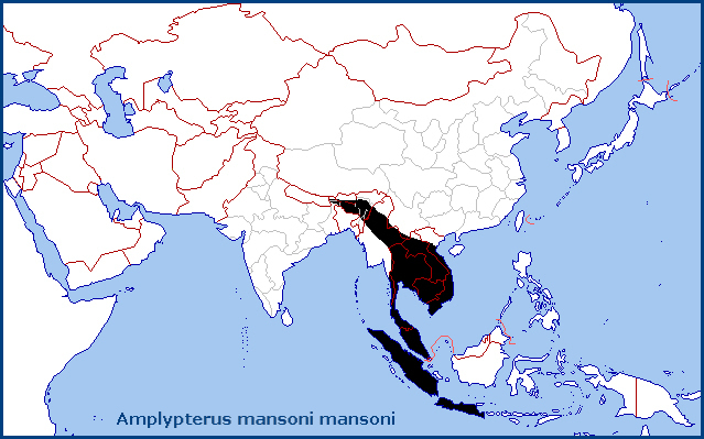Global distribution of Amplypterus mansoni mansoni. Map: &copy; Tony Pittaway.