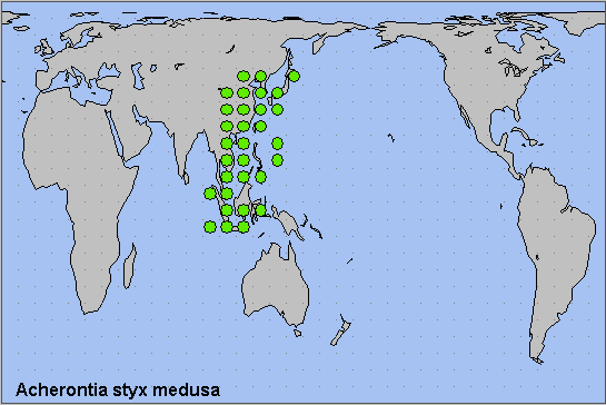 Global distribution of Acherontia styx medusa. Map: &copy; NHMUK.