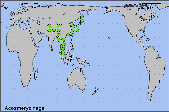 Global distribution of Acosmeryx naga. Map: &copy; NHMUK.