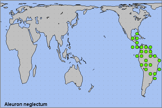 Global distribution of Aleuron neglectum. Map: &copy; NHMUK.