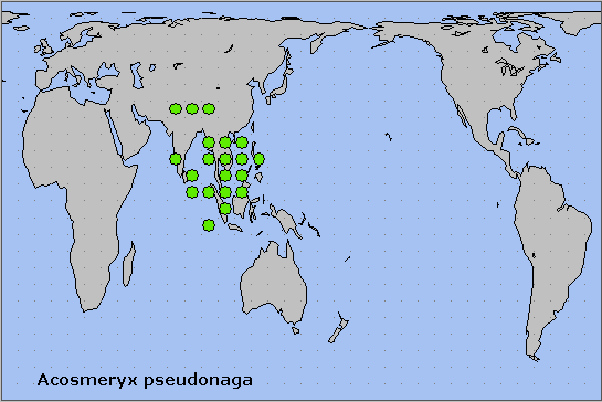 Global distribution of Acosmeryx pseudonaga. Map: &copy; NHMUK.
