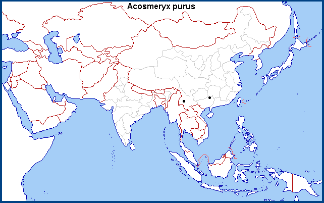 Global distribution of Acosmeryx purus. Map: &copy; NHMUK.