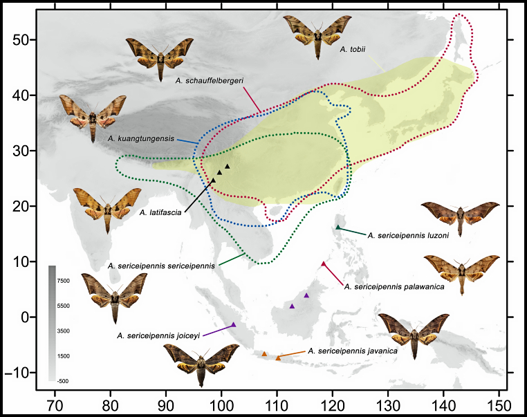 Global distribution of Ambulyx kuangtungensis. Map: &copy; Jiang, Kitching, Xu, Xu, Yan, Yu, Liu & Hu, 2025.