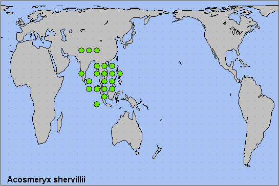 Global distribution of Acosmeryx shervillii. Map: &copy; NHMUK.