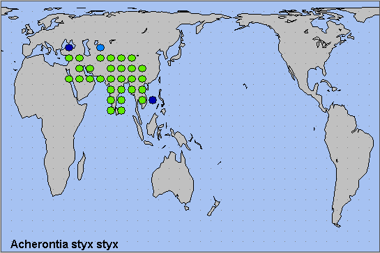 Global distribution of Acherontia styx styx. Map: &copy; NHMUK.