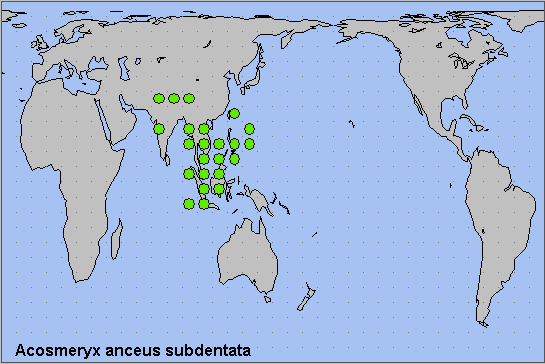 Global distribution of Acosmeryx anceus subdentata. Map: &copy; NHMUK.