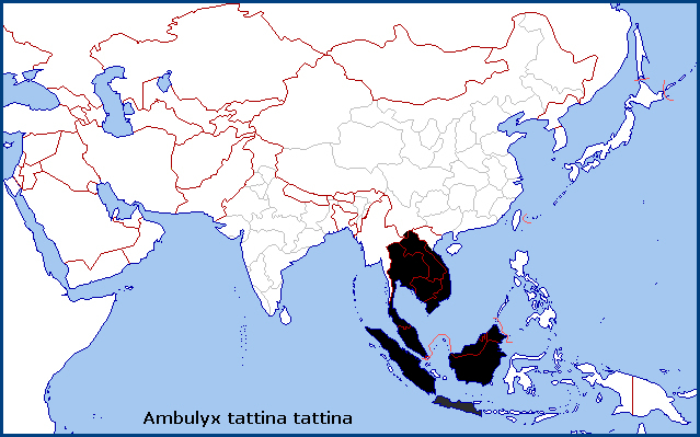 Global distribution of Ambulyx tattina tattina. Map: &copy; Tony Pittaway.