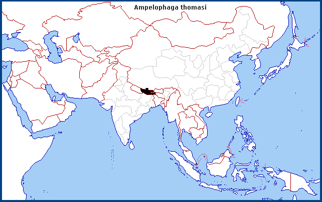 Global distribution of Ampelophaga thomasi. Map: &copy; Tony Pittaway.
