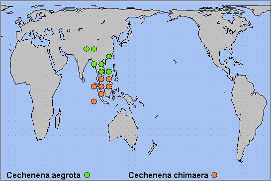 Global distribution of Cechenena aegrota. Map: &copy; NHMUK.