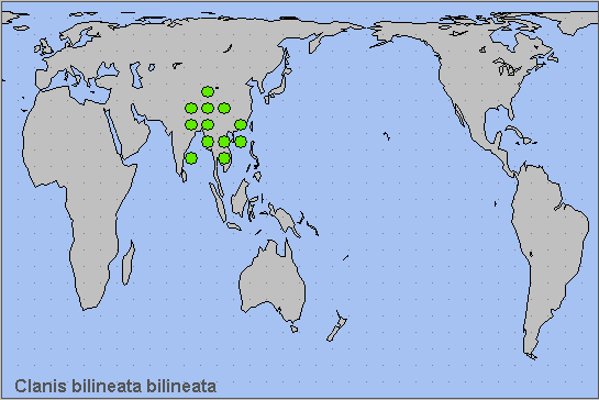 Global distribution of Clanis bilineata bilineata. Map: &copy; NHMUK.