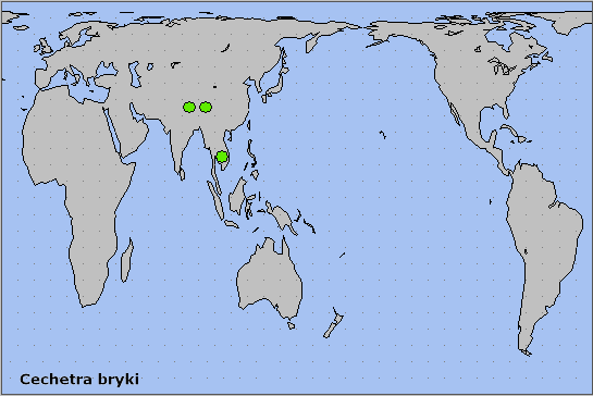 Global distribution of Cechetra bryki. Map: &copy; NHMUK.