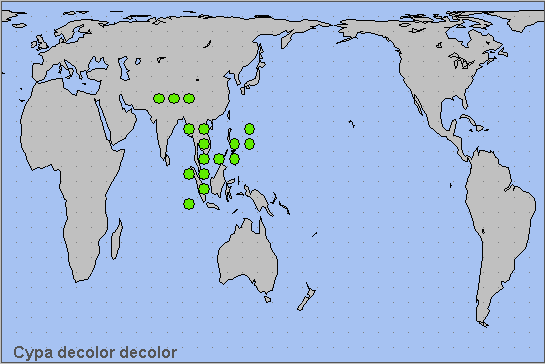 Global distribution of Cypa decolor decolor. Map: &copy; NHMUK.