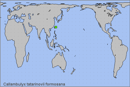 Global distribution of Callambulyx tatarinovii formosana. Map: &copy; NHMUK.
