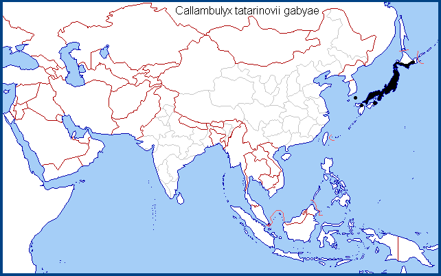 Global distribution of Callambulyx tatarinovii gabyae. Map: &copy; NHMUK.
