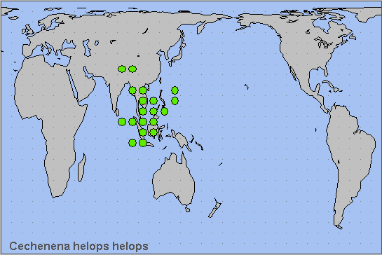 Global distribution of Cechenena helops helops. Map: &copy; NHMUK.