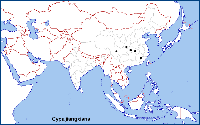 Global distribution of Cypa jiangxiana. Map: &copy; NHMUK.