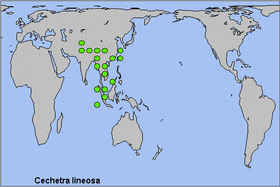 Global distribution of Cechetra lineosa. Map: &copy; NHMUK.