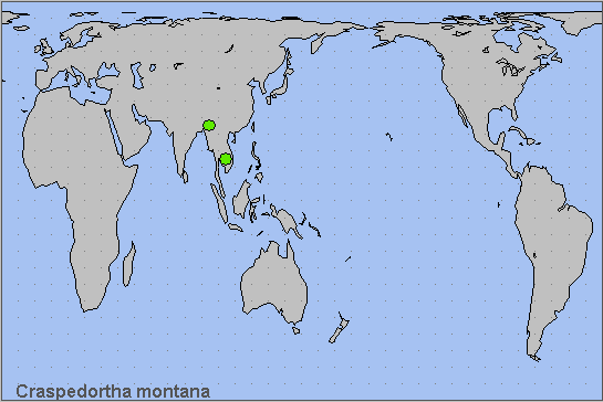 Global distribution of Craspedortha montana. Map: &copy; NHMUK.