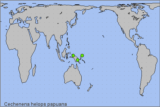 Global distribution of Cechenena helops papuana. Map: &copy; NHMUK.