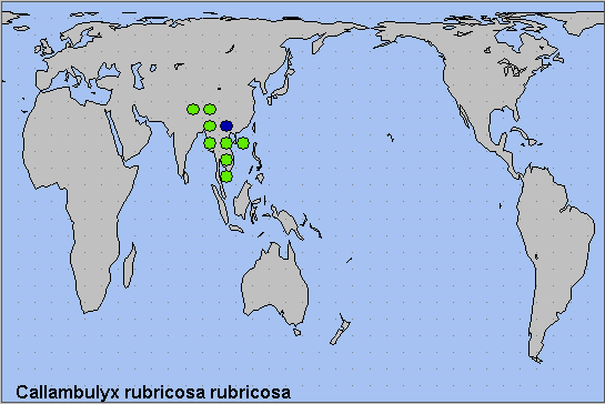 Global distribution of Callambulyx rubricosa rubricosa. Map: &copy; NHMUK.