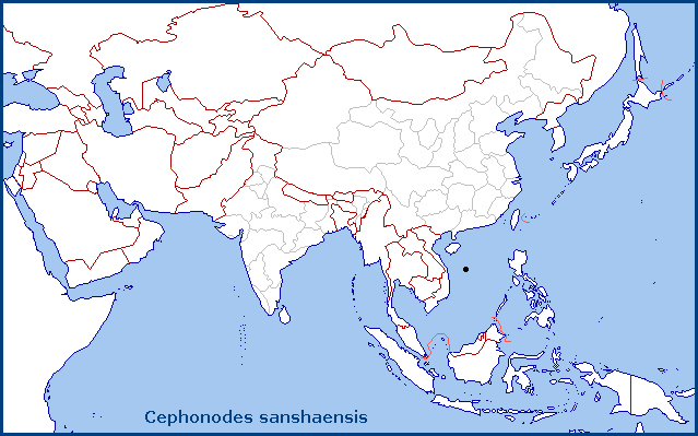 Global distribution of Cephonodes sanshaensis. Map: &copy; Tony Pittaway.
