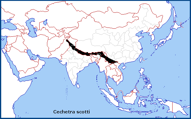 Global distribution of Cechetra scotti. Map: &copy; Tony Pittaway.