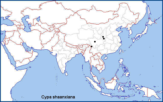 Global distribution of Cypa shaanxiana. Map: &copy; NHMUK.