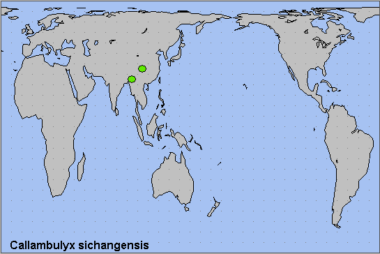 Global distribution of Callambulyx sichangensis. Map: &copy; NHMUK.