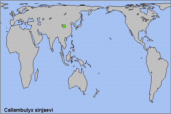 Global distribution of Callambulyx sinjaevi. Map: &copy; NHMUK.