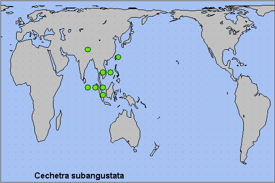 Global distribution of Cechetra subangustata. Map: &copy; NHMUK.