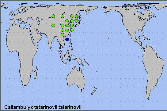 Global distribution of Callambulyx tatarinovii tatarinovii. Map: &copy; NHMUK.