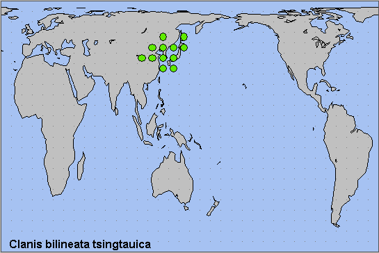 Global distribution of Clanis bilineata tsingtauica. Map: &copy; NHMUK.