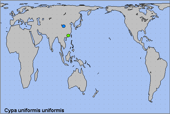 Global distribution of Cypa uniformis uniformis. Map: &copy; NHMUK.