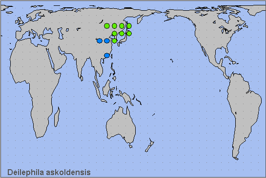 Global distribution of Deilephila askoldensis. Map: &copy; NHMUK.