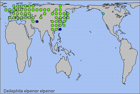 Global distribution of Deilephila elpenor elpenor. Map: &copy; NHMUK.