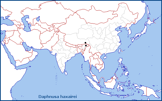 Global distribution of Daphnusa haxairei. Map: &copy; Tony Pittaway.