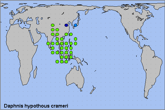 Global distribution of Daphnis hypothous crameri. Map: &copy; NHMUK.