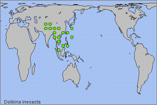 Global distribution of Dolbina inexacta. Map: &copy; NHMUK.