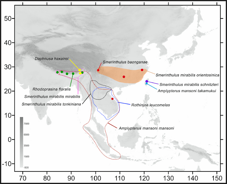 Global distribution of Smerinthulus mirabilis mirabilis. Map: &copy; Jiang, Xu, Lin, Liu, Wang & Hu, 2025.