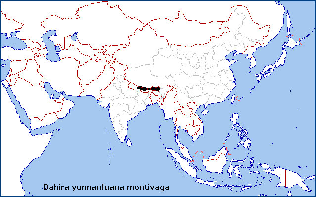 Global distribution of Dahira yunnanfuana montivaga. Map: &copy; Tony Pittaway.