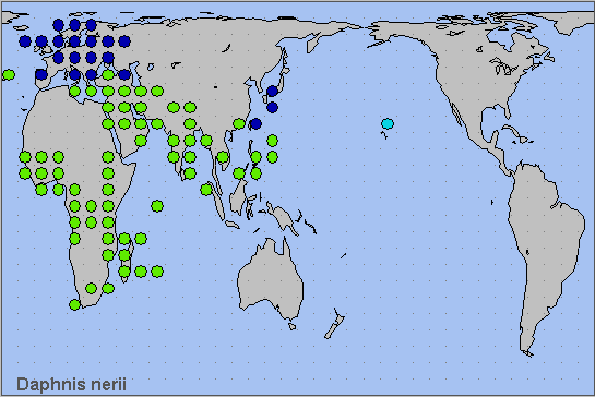 Global distribution of Daphnis nerii. Map: &copy; NHMUK.